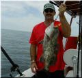 Jay_Grouper