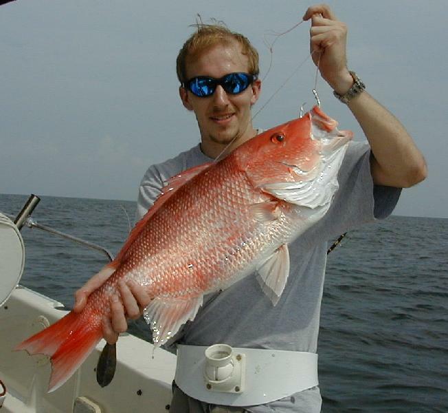 06_Mark_Snapper