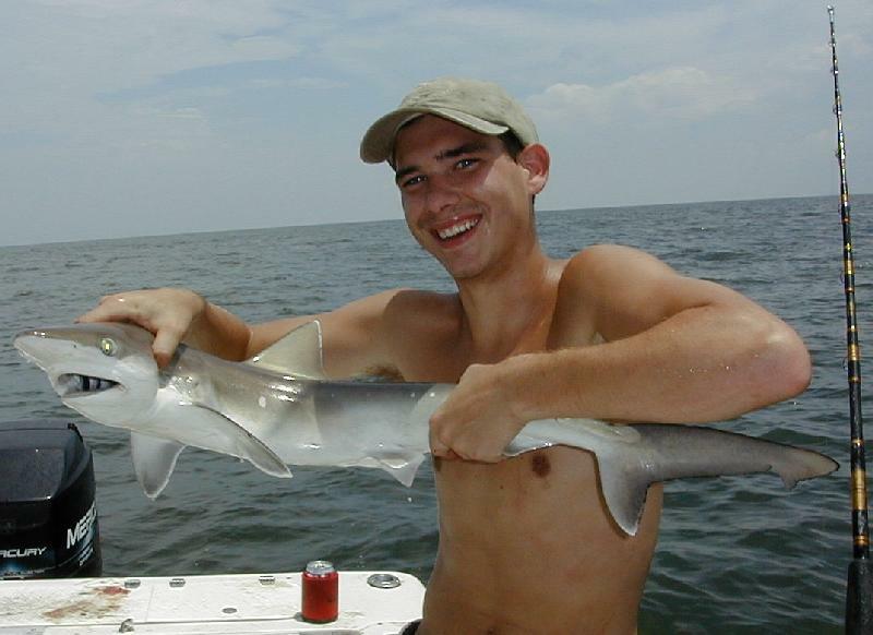 17_Robbie_Shark