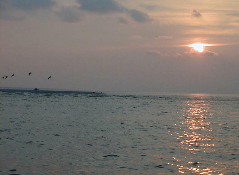 25_Sunset