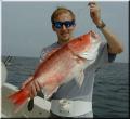 06_Mark_Snapper
