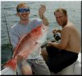 08_Mark_Drew_Snapper