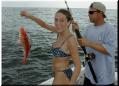 11_Jaime_Drew_Snapper