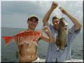 14_Robbie_Drew_Snapper_Grouper