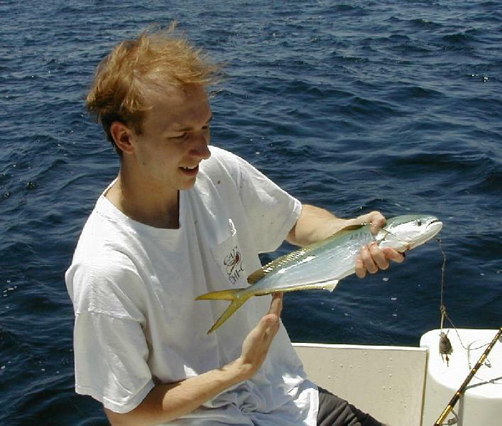mahi_mahi