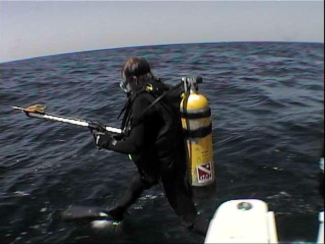 vc_diver_down