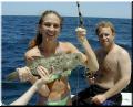 grouper2_large