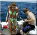 grouper3