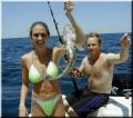 grouper_large