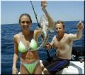 grouper_small
