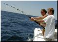 hookup3_large