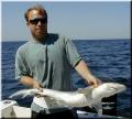 shark1