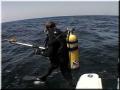 vc_diver_down