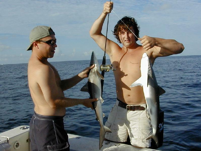 05_Drew_Mike_Sharks