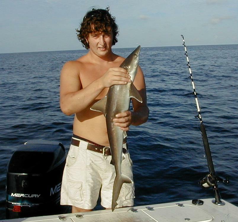 06_Mike_Shark