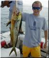 10_Mark_Mahi_Mahi