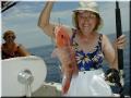 04_Agnes_Snapper