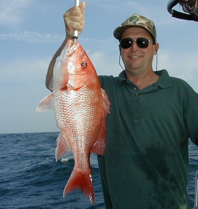 11_Gus_Snapper