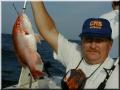 01_Jerry_Snapper