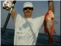 04_Walter_Snapper