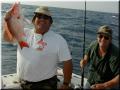 21_perry_snapper_gus_640