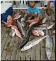 22_Catch