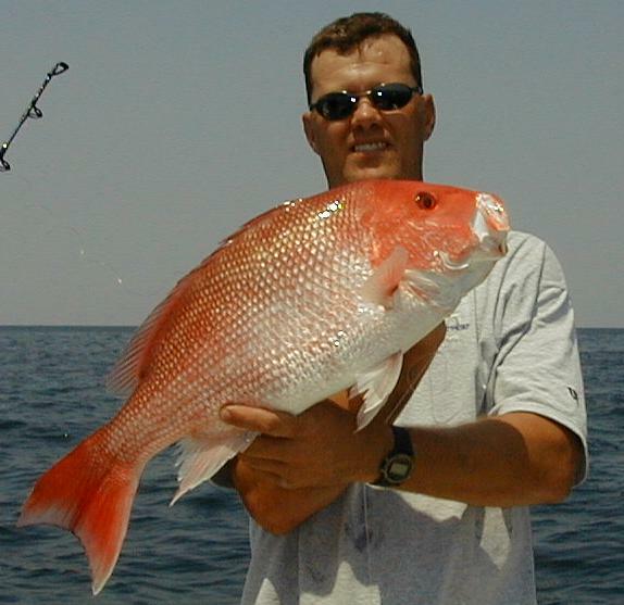 39_Tim_Snapper