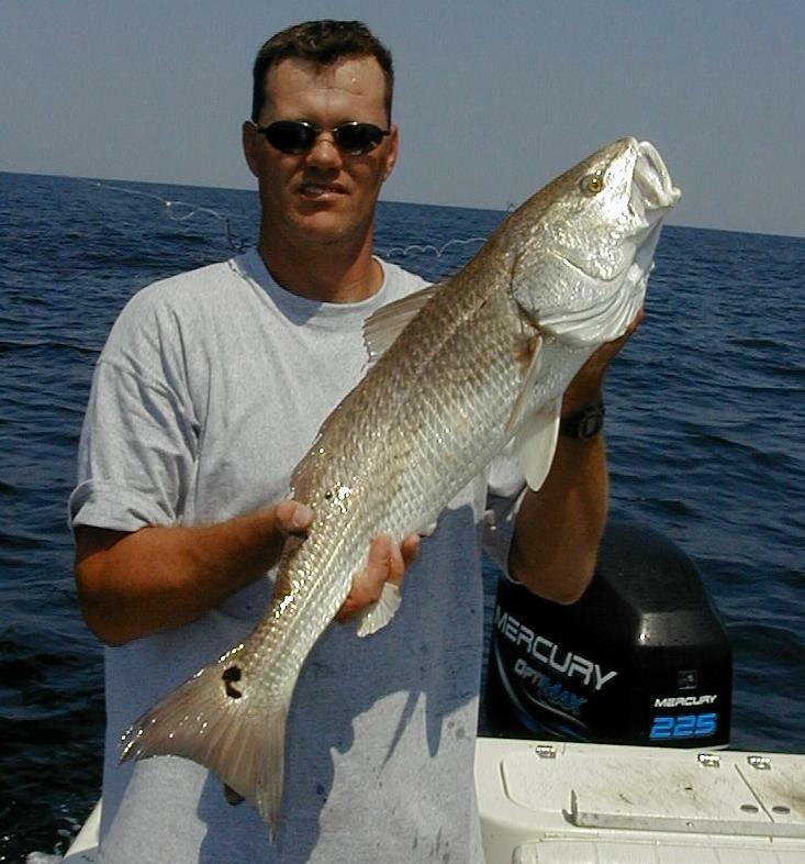 44_Tim_Redfish