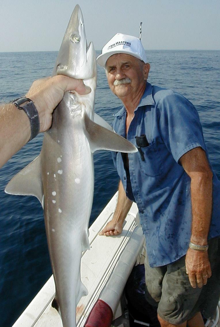 47_Floyd_Shark