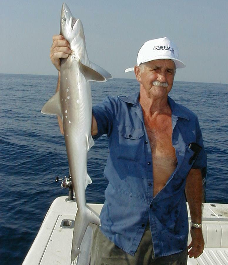 48_Floyd_Shark