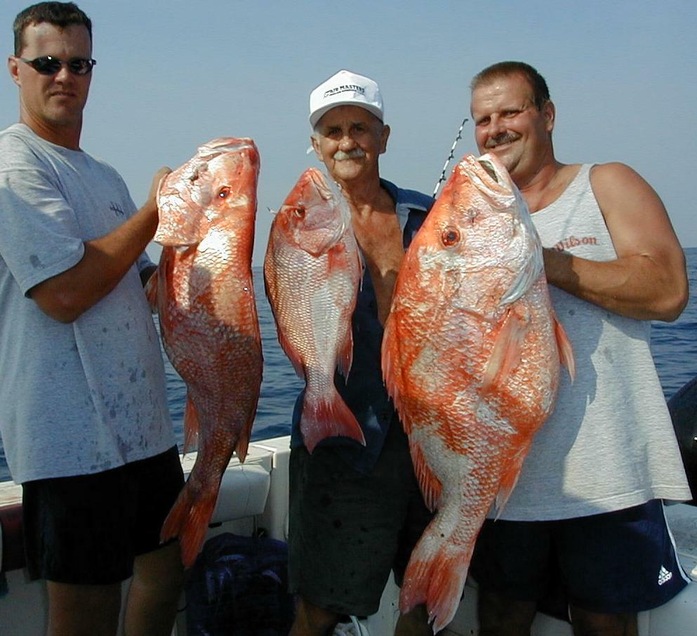 49_Tim_Floyd_Norman_Snappers