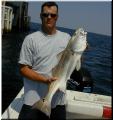 43_Tim_Redfish