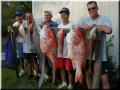 57_Catch