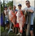 58_Catch
