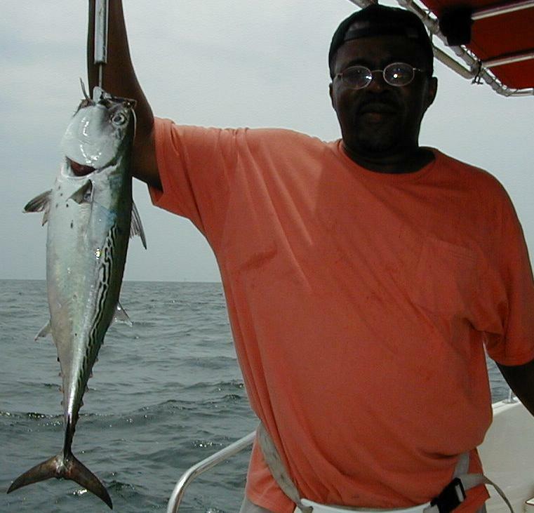 22_Maury_Bonito