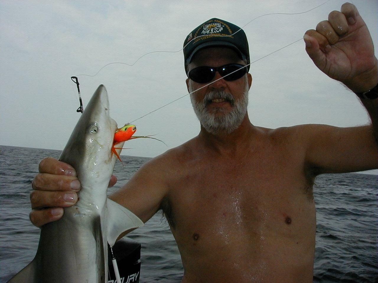 24_Don_Shark