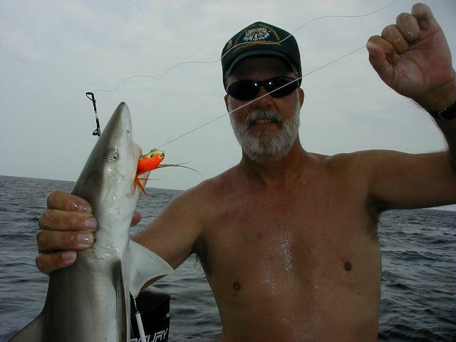 24_Don_Shark_640
