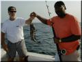 07_Maury_Don_Grouper