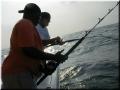 12_Don_Hookup