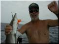 24_Don_Shark_640