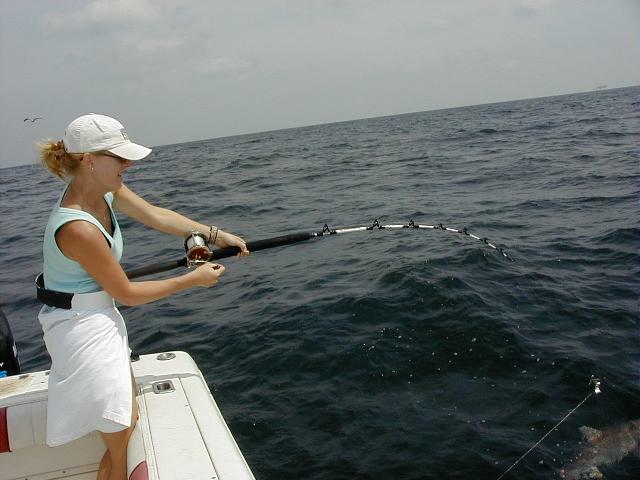 32_Billie_Hookup_Shark
