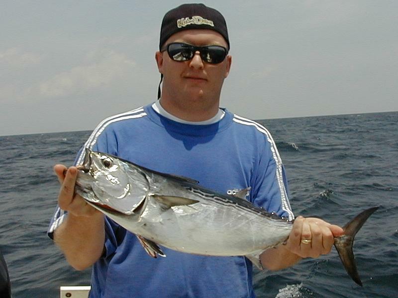 44_Brian_Bonito