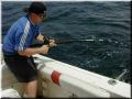 43_Brian_Hooked-up