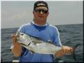 44_Brian_Bonito