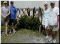 48_catch