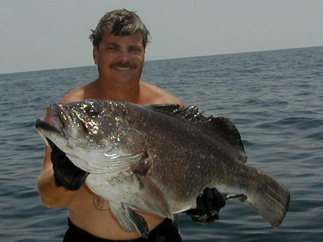 23_Mark_Grouper