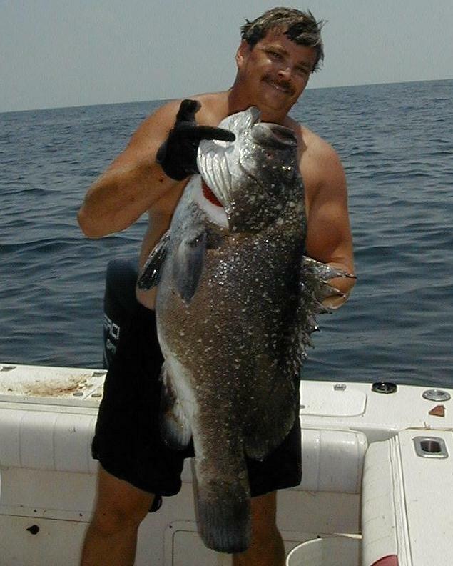 24_Mark_Grouper