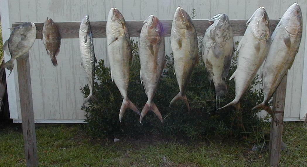 62_Catch