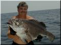 23_Mark_Grouper