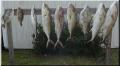 62_Catch